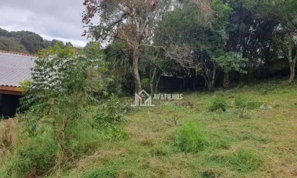 Terreno Residencial à venda, Vila Rosa, Piraquara - TE0026.