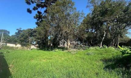 Terreno Residencial à venda, Vila Juliana, Piraquara - TE0069.