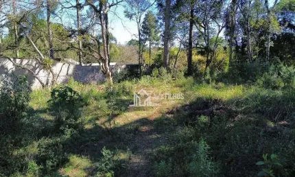 Terreno Residencial à venda, Vila Rosa, Piraquara - TE0072.