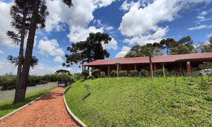 Chácara com 4 dormitórios à venda, 4020 m² por R$ 1.500.000,00 - Planta Meireles - Piraquara/PR