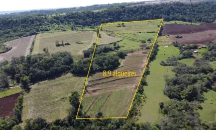 Área Rural de 8,9 Alqueires, Terra Mista (Plantio e Pastagem) - Com Sanga de água