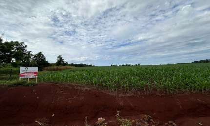 Chácara / sítio à venda na Margarida, Marechal Cândido Rondon 