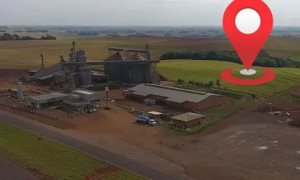 2,5 alqueires de grama para fenação, sendo 5 mil sacas de soja por alqueire
