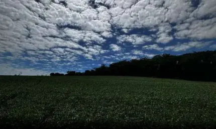 Chácara / sítio à venda na Zona Rural, Marechal Cândido Rondon 