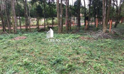 Terreno para Venda em Piraquara, Colônia Santa Maria, 10 vagas
