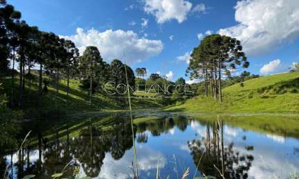 Fazenda à venda na Campo Alto, 5, Campo Alto, Tijucas do Sul, 3000 m2 por R$ 19.999.900