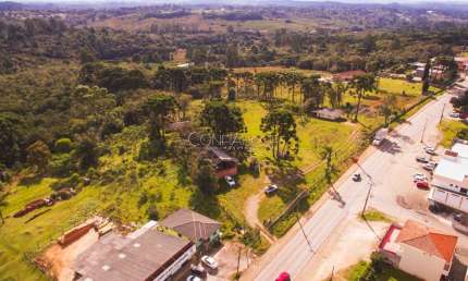 Terreno comercial à venda na Rodovia do Caqui - Campina Grande do Sul - PR, Centro, Campina Grande do Sul por R$ 3.990.000