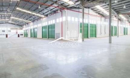Barracão / Galpão / Depósito para alugar na Avenida Rocha Pombo, Águas Belas, São José dos Pinhais, 3290 m2