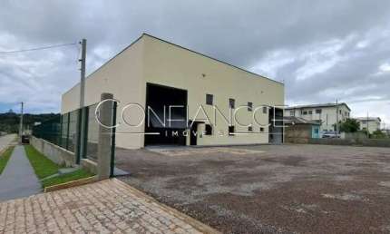 Barracão / Galpão / Depósito para alugar na Rua Vereador Altivir Stoco, 100, Borda do Campo, São José dos Pinhais, 1000 m2 por R$ 25.000