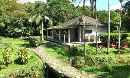 Chácara com 4 dormitórios à venda, 6000 m² por R$ 1.800.000,00 - Área Rural - Morretes/PR