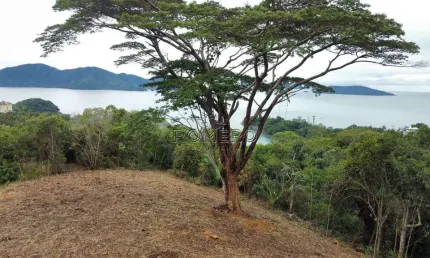Terreno, praia do pulso, ubatuba - r$ 4 mi, cod: 2032