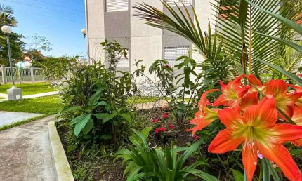Apartamento com 2 quartos, Praia do Sapê, Ubatuba - R$ 370 mil, Cod: 2549