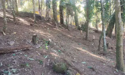 Terreno, sertão da quina, ubatuba - r$ 250 mil, cod: 2557