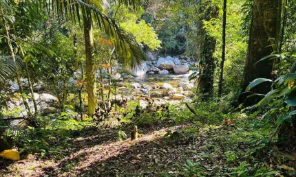 Terreno, Sertão da Quina, Ubatuba - R$ 270 mil, Cod: 2672