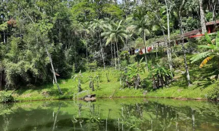 Chácara com 2 quartos, Sertão da Quina, Ubatuba - R$ 760 mil, Cod: 1850