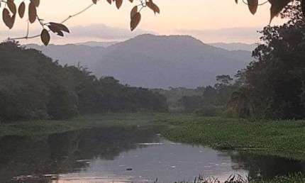 Terreno à venda no Parque Vergara, Itanhaém 