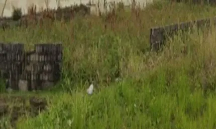 Terreno à venda no Balneário Tupy, Itanhaém 