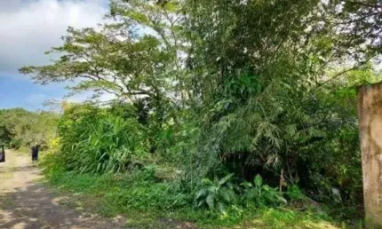 Terreno à venda no Jardim Tropical, Itanhaém 