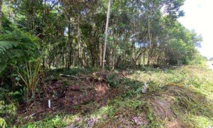Terreno à venda no São Fernando, Itanhaém 