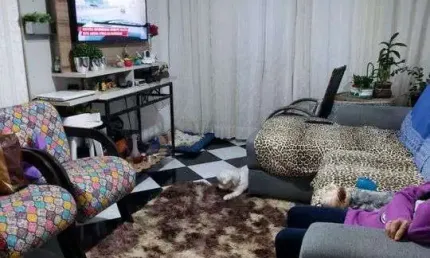 Apartamento para Venda em Santos, Ponta da Praia, 2 dormitórios, 1 banheiro, 1 vaga