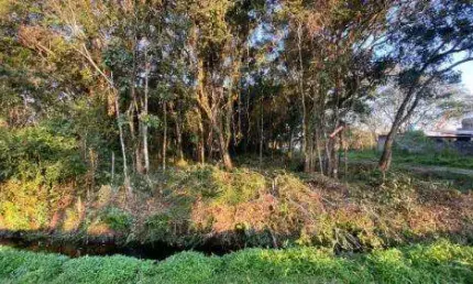 Terreno à venda no Balneário Gaivota, Itanhaém 
