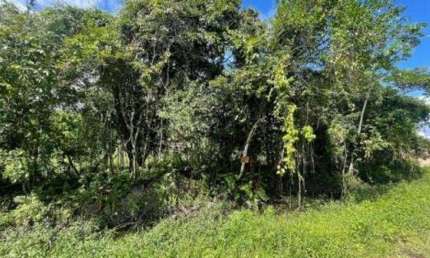 Terreno à venda no Palmeiras II, Itanhaém 