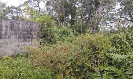 Terreno à venda em Luíza Mar Mirim, Itanhaém 