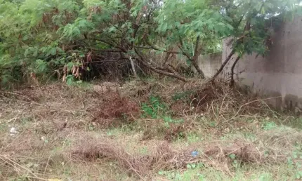 Terreno à venda na Estancia São Jose, Peruíbe 