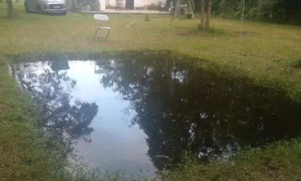 Chácara para venda em itanhaém, jardim coronel, 2 dormitórios, 1 banheiro, 10 vagas