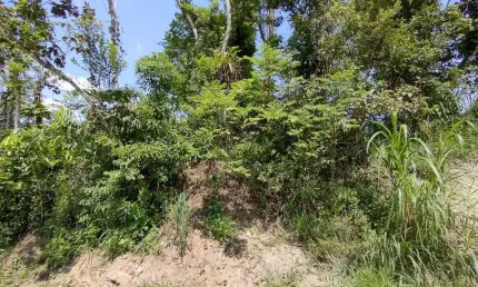 Terreno à venda no Jardim Umuarama, Itanhaém 