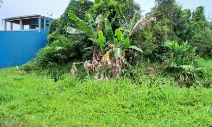 Terreno à venda no Verde Mar, Itanhaém 