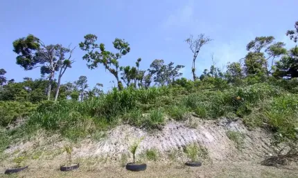 Terreno à venda no Jardim Umuarama, Itanhaém 