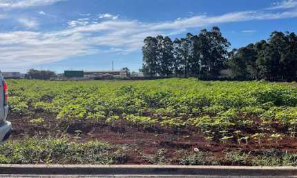 Terreno à venda, 360 m² por R$ 251.356,50 - Guarujá - Cascavel/PR