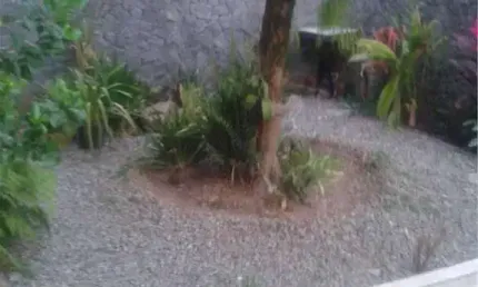Casa com 4 dormitórios à venda, 270 m² por R$ 2.500.000,00 - Aparecida - Santos/SP