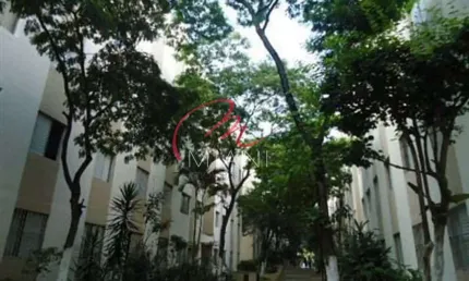 Apartamento Residencial à venda, Vila São Silvestre, São Paulo - AP1845.