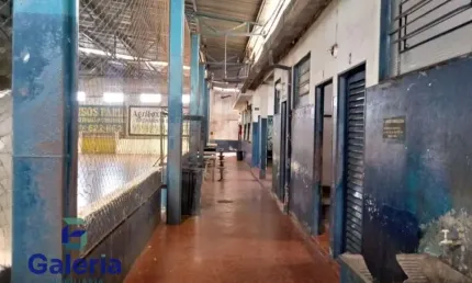 Barracão / Galpão / Depósito com 1 sala à venda no Ipiranga, Ribeirão Preto 