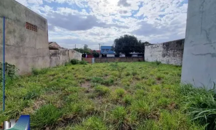 Terreno comercial para alugar na Vila Mariana, Ribeirão Preto 