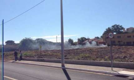 Terreno comercial para alugar no República, Ribeirão Preto 