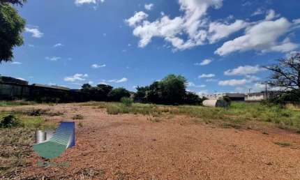 Galpao Comercial para alugar, 5.000m2 -  Vila Elisa
