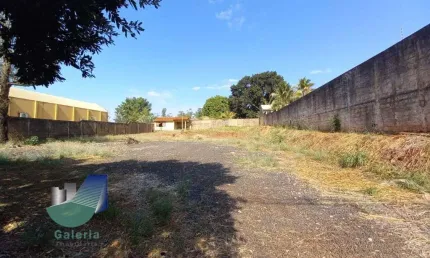 Terreno comercial para alugar na Avenida Professor Mário Autuori, 925, City Ribeirão, Ribeirão Preto