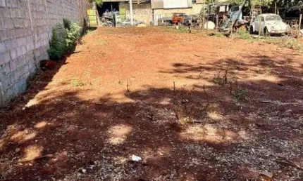 Terreno comercial para alugar na Rua Espanha, 81, Vila Elisa, Ribeirão Preto