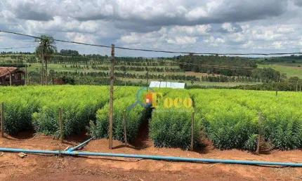 Sítio à venda, 121000 m² por R$ 1.800.000,00 - Campo Novo - Bragança Paulista/SP