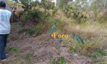 Terreno à venda, 150 m² por R$ 116.600,00 - Loteamento Horizonte Azul - Itatiba/SP