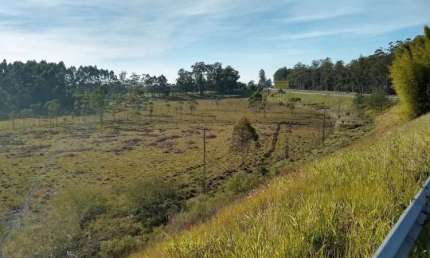 Terreno à venda no Pesqueiro, Montenegro  por R$ 10.300.000