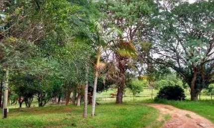 Chácara / sítio com 6 quartos à venda na Avenida Edgar Pires de Castro, --, Lageado, Porto Alegre por R$ 8.000.000