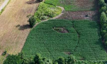Terreno à venda em Travessão, Dois Irmãos , 26000 m2 por R$ 3.400.000
