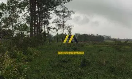 Área à venda, 100000 m² por R$ 1.700.000,00 - Rio Bonito (Pirabeiraba) - Joinville/SC