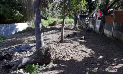 Chácara / sítio à venda no Campinas, Pindamonhangaba 