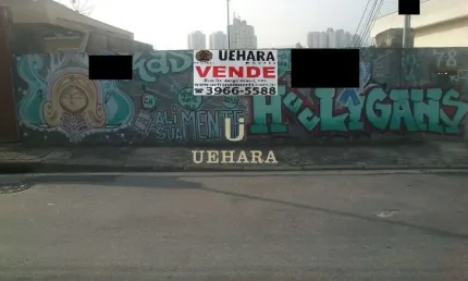 Terreno à venda, 380 m²- chora menino - são paulo/sp