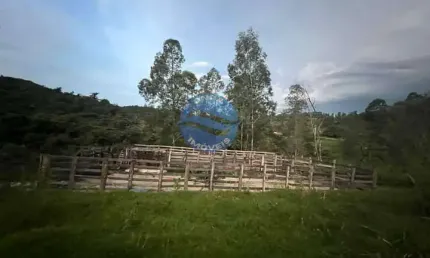 Sítio a venda localizado no bairro Brumado, Amparo - SP